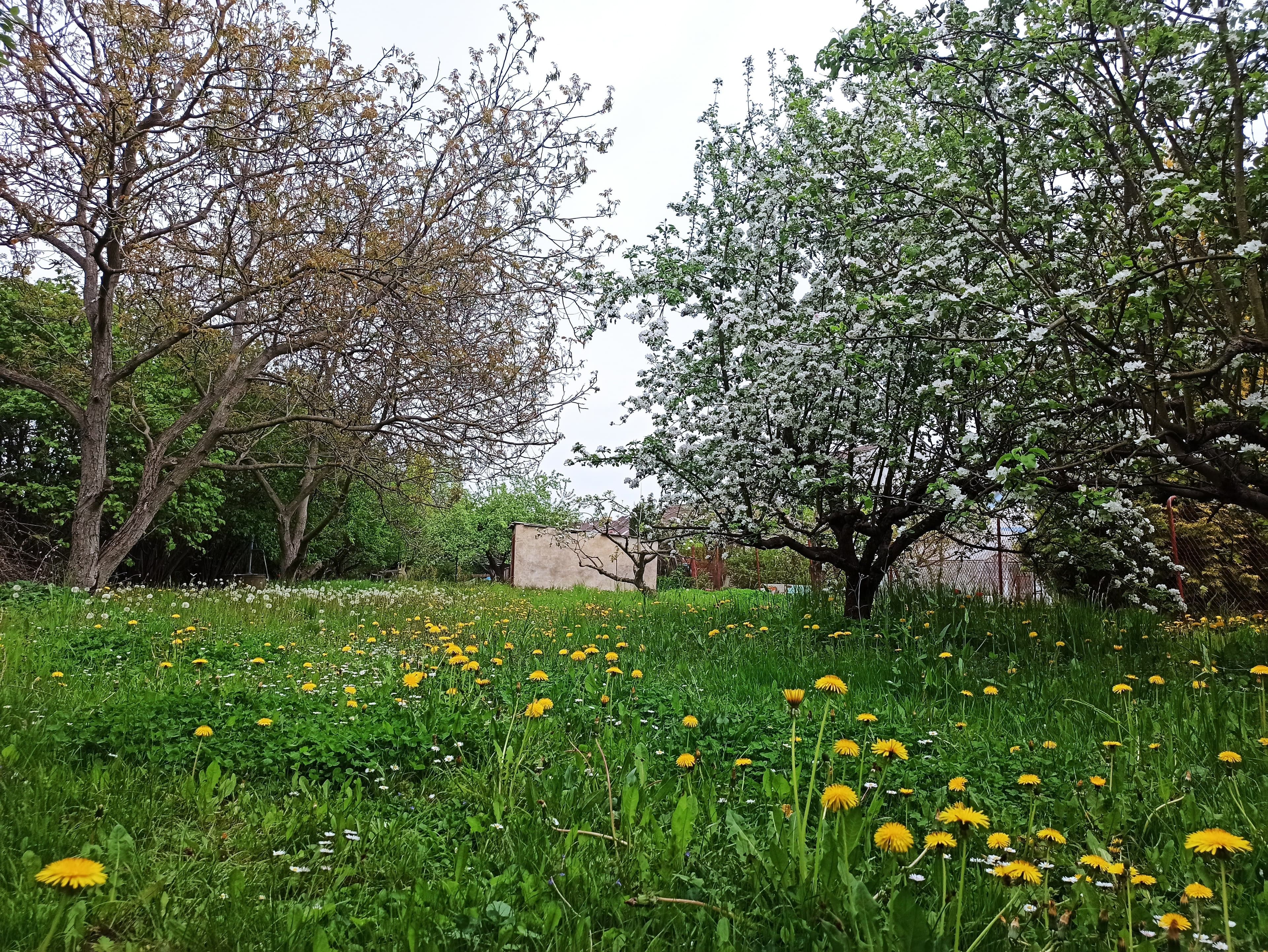 Pozemek Prodej stavebního pozemku | Hradec Králové | 3745 Kč/m2 Pozemek Prodej stavebního pozemku | Hradec Králové | 3745 Kč/m2